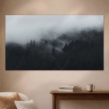 Im Nebelwald von Reblick
