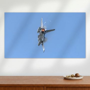Rumänische Luftstreitkräfte: General Dynamics F-16BM Fighting Falcon. von Jaap van den Berg