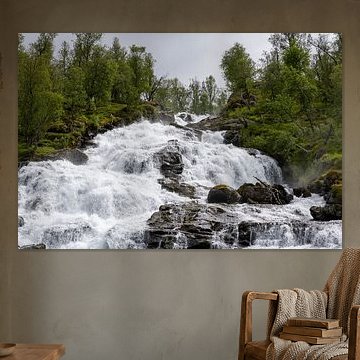 Cascades de liberté vivante sur Lichtlaub Photographie | Toni Seyfert