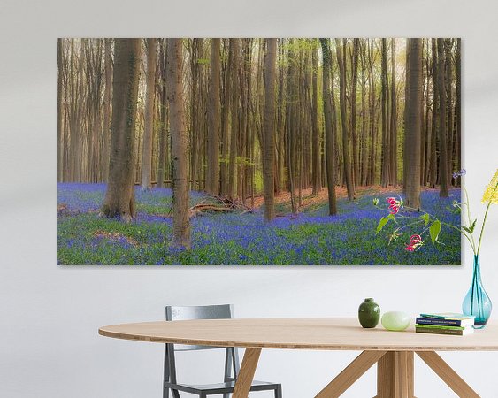 Raumvorschau