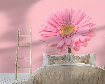 Rosa Gerbera von Elles Rijsdijk