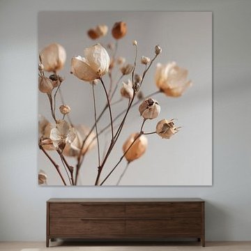 Gedroogde katoenbloem takken
