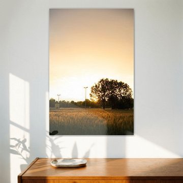 Gouden tarweveld bij zonsondergang – Natuurfotografie | Landschapsfoto | Fine Art Print | Wanddecoratie | Landhuisdecoratie