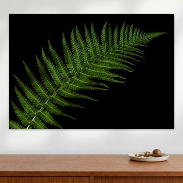 Rythme de la forêt sur Cindy Coenen Fine Art