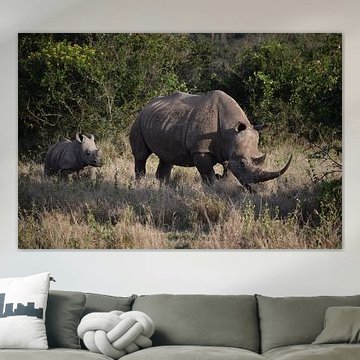 Nashorn mit Jungtier in Kenia von Vincent Dekker