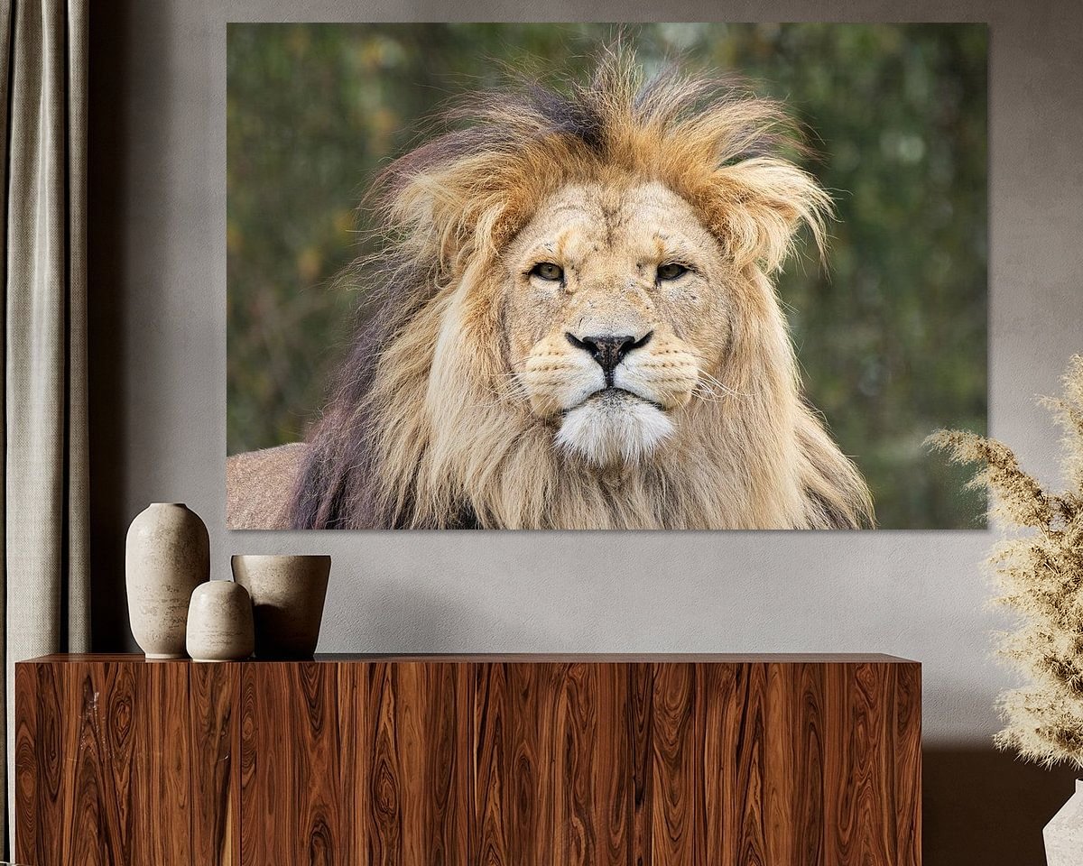 Raumvorschau