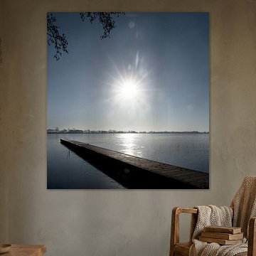 Winterzon boven Nannewiid