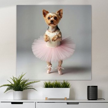 Süßer kleiner Yorkshire-Terrier im Ballettanzug von Costas Ganasos