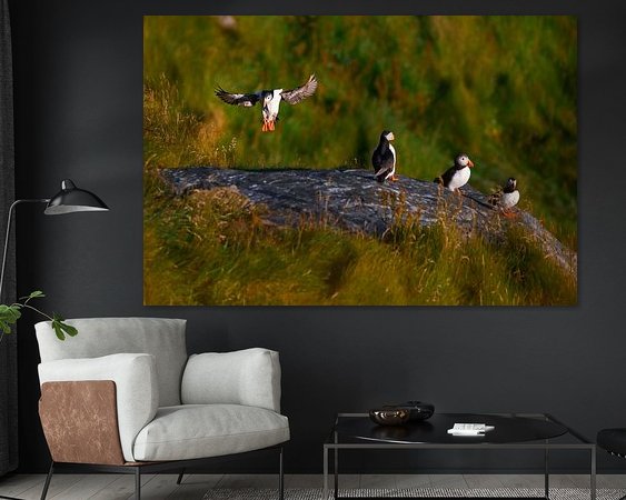 Voorbeeld van het werk in een kamer