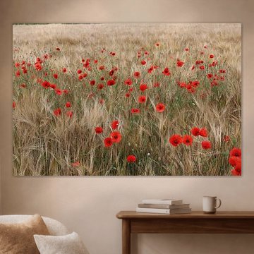 Rode papaver 4 van Helmut Martin - the art of stone - Steinkunst & Photographie