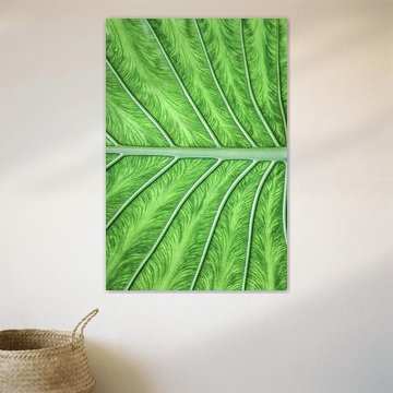 Grafik der Natur