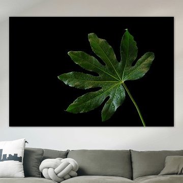 Woodland Grace von Cindy Coenen Fine Art
