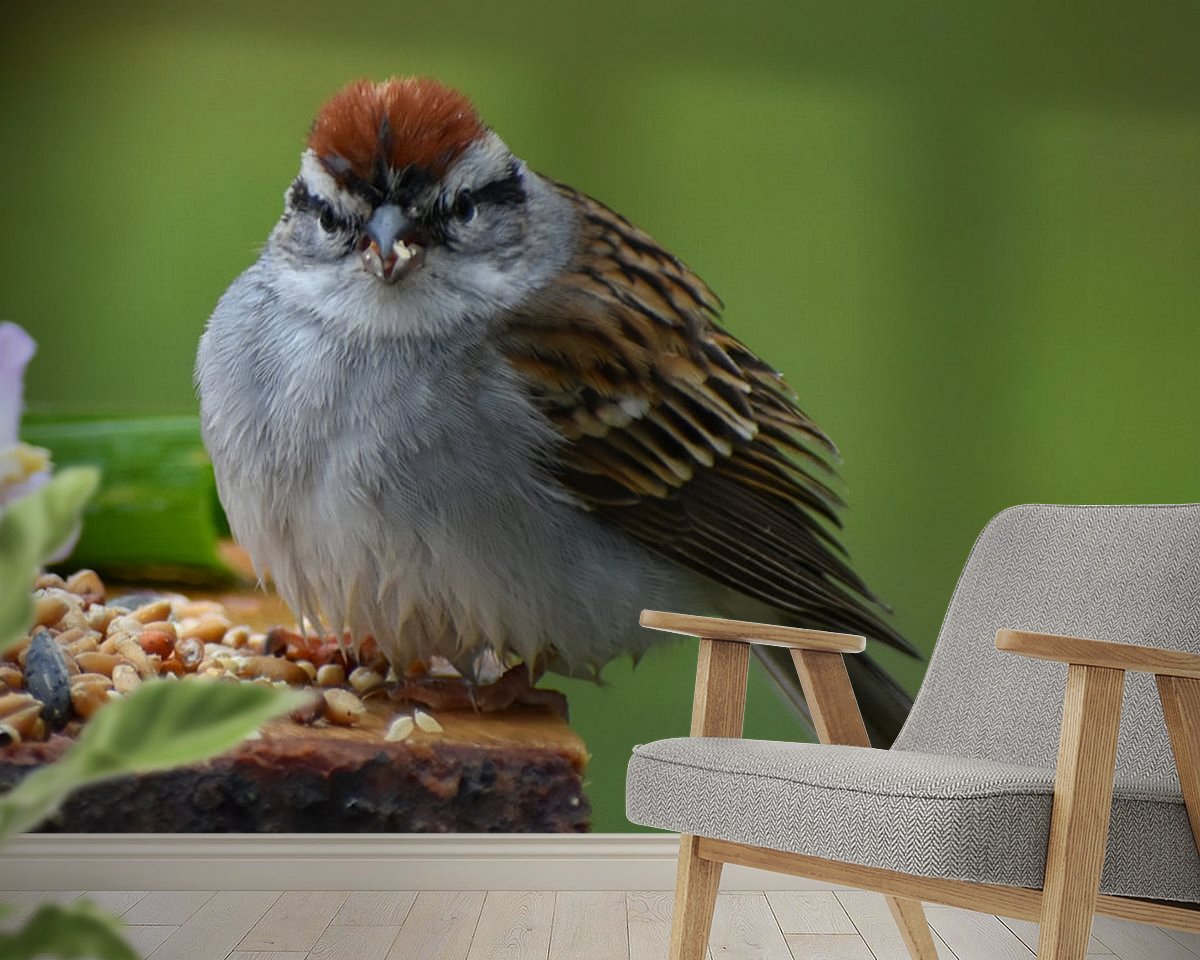 Raumvorschau