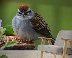 Raumvorschau