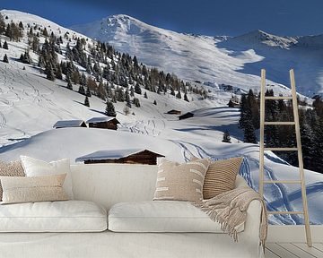 Eerste sporen in de sneeuw van Suzan (Suus) Buskes