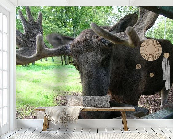 Raumvorschau