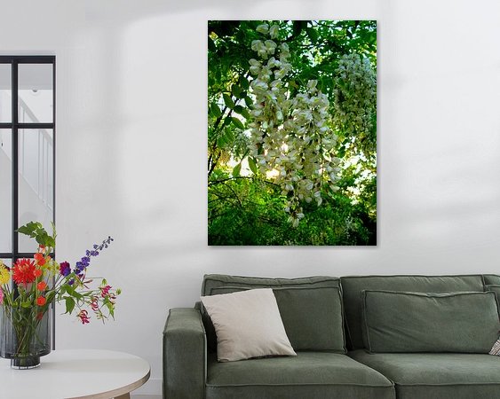 Raumvorschau
