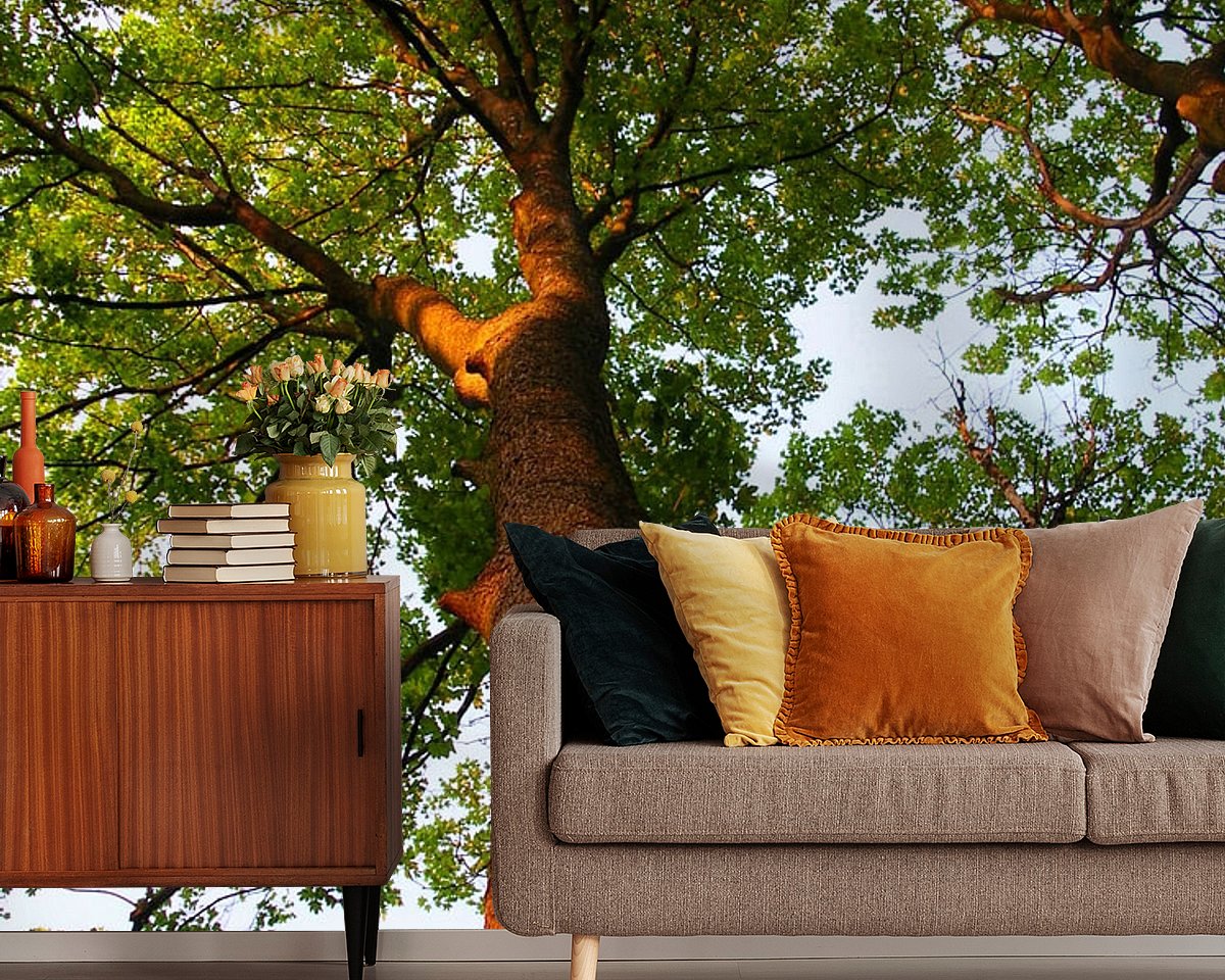 Raumvorschau