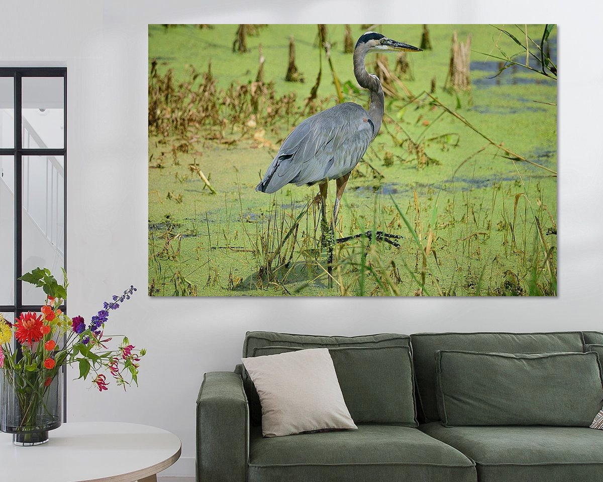 Raumvorschau