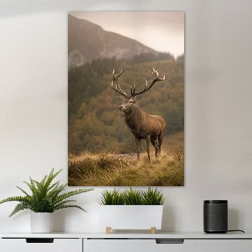 Majestic Stag – Cerf élaphe dans un paysage montagneux brumeux (œuvre d'art) sur Design Wall Arts