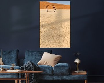 Dodevlei (Deadvlei) in Namibië, Afrika van Simone Janssen