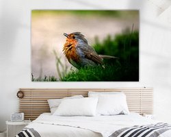 Raumvorschau