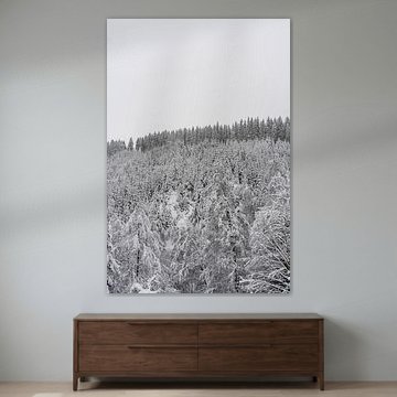 Snow-covered pine forest – Hoge Venen, Belgium by Britta Lahaye