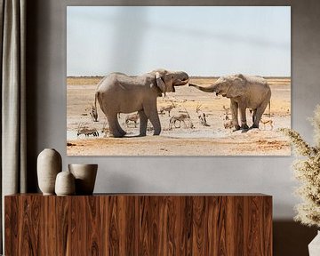 Drinking elephants in Etosha National Park, Namibia by Simone Janssen