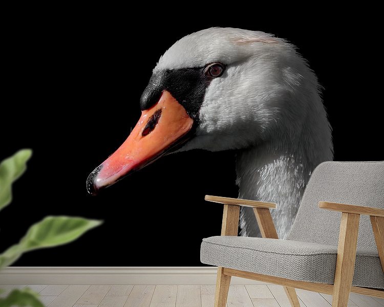 Raumvorschau
