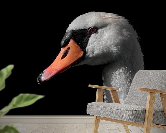 Raumvorschau
