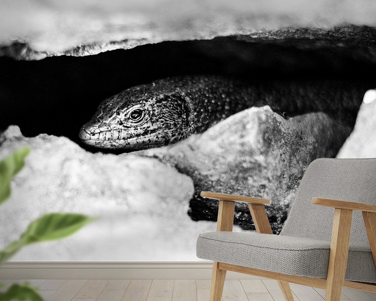 Raumvorschau