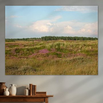 An atmospheric coastal heathland landscape near Emmerlev, Denmark 1