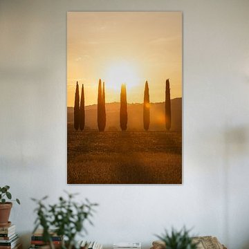 Cyprès au coucher du soleil | Val d'Orcia, Toscane