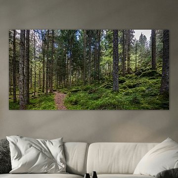 Hiking trail in Enzklösterle in the Black Forest by Werner Dieterich