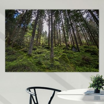 Rocks and trees in the forest at Enzklösterle – Black Forest by Werner Dieterich