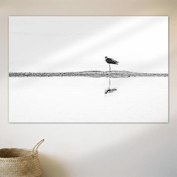 Stelzenläufer in stillen Gewässern – Minimalistische Schwarz-Weiß-Kunst von Femke Ketelaar