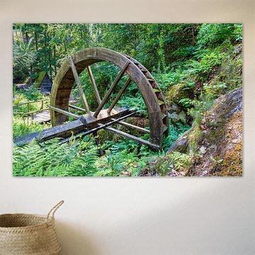 Een blik op de watermolen bij kasteel Regenstein