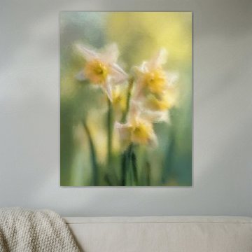 Witte Narcissen – Wit, Geel en Groen in Lentelicht
