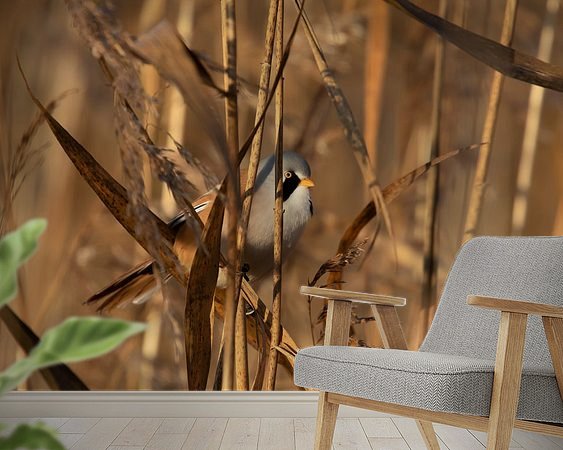 Raumvorschau