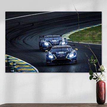ASTON MARTIN VINTAGE GT3-FAMILIE 24 UUR VAN LE MANS 2026 van David BILIEN