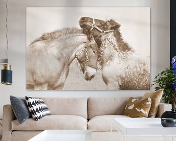 horse love...  von Els Fonteine