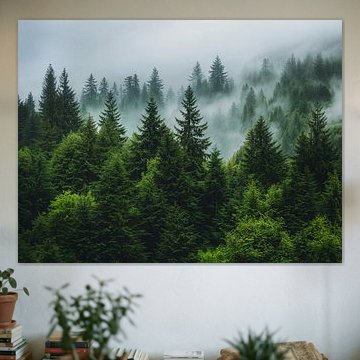 Nebelverhangener immergrüner Wald von IamHomeStudio