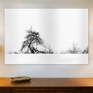 Holding On Through Winter