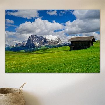 Panorama der Seiser Alm oder Alpe di Siusi in den Dolomiten von Sjoerd van der Wal Fotografie