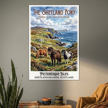 Shetlandpony