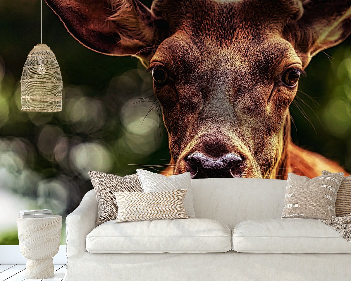 Raumvorschau