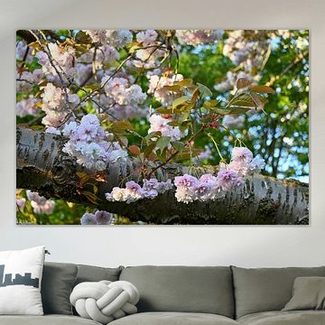 Essaie de compter les pétales sur Picture Perfect Photography