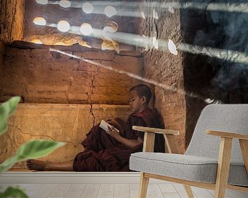 Baghan Myanmar, junger Mönch, der im buddhistischen Kloster studiert. (gesehen bei vtwonen) von Wout Kok