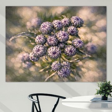 Distel von Rob Boon