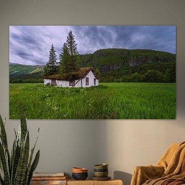 Haus mit Baum auf dem Dach in Hemsedal, Norwegen von Henk Meijer Photography